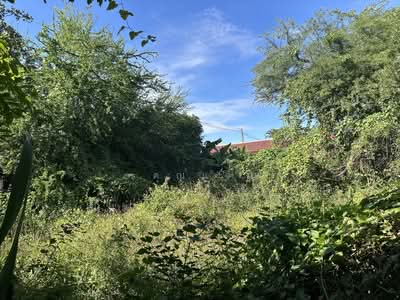 ขาย - ที่ดินว่างเปล่าอุดรธานี, อุดรธานี