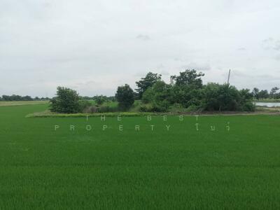 ขาย - ที่ดินไทรน้อย นนทบุรี, นนทบุรี