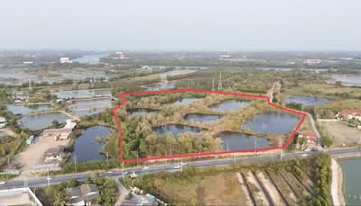 ขาย - สนามจันทร์, ฉะเชิงเทรา