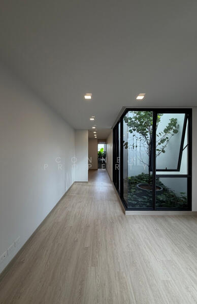 The Cabinet 29, Bangkok, Chorake Bua, Lat Phrao, Bangkok, 3 Bedrooms, 250 sqm, Townhouse For Sale, by Connex Property, 500142537 - DDproperty.com