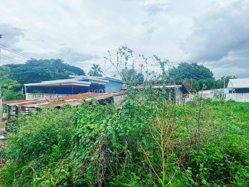 ที่ดินปากแพรก กาญจนบุรี, Kanchanaburi, Pak Phraek, Muang Kanchanaburi, Kanchanaburi, , 568 sqm, Land For Sale, by The Best Property แอ้, 500142542 - DDproperty.com