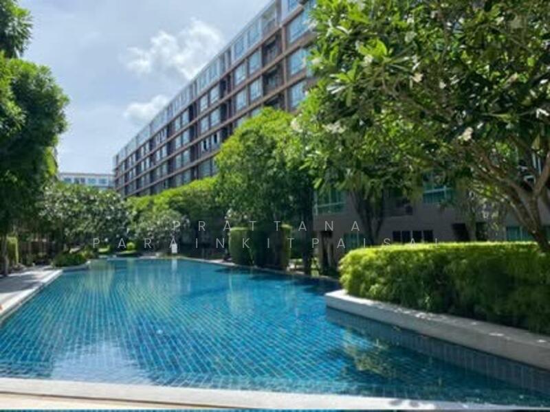 Dcondo Creek Phuket : ดีคอนโด ครีก ภูเก็ต, ภูเก็ต, 81 ม.2, กะทู้, กะทู้, ภูเก็ต, 30 ตร.ม., คอนโด ขาย, โดย Prattana Parainkitpaisal, 500142574 - DDproperty.com