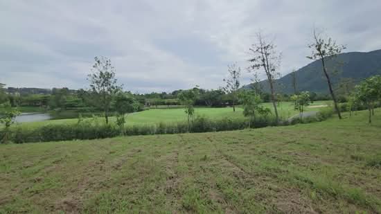 Toscana Valley Khao Yai (ทอสคานา วัลเลย์ เขาใหญ่), Nakhon Ratchasima, Pak Chong, Nakhon Ratchasima, , 1,600 sqm, Land For Sale, by Saksri Sirichokprasert, 500142587 - DDproperty.com