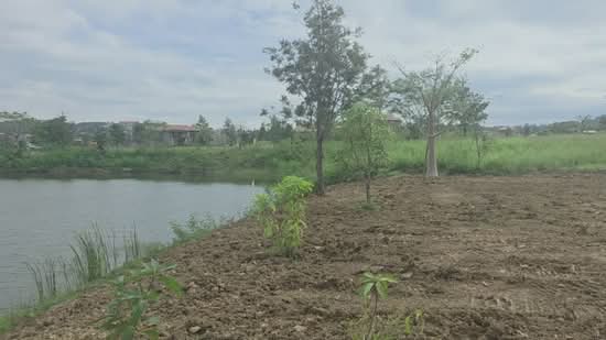 Toscana Valley Khao Yai (ทอสคานา วัลเลย์ เขาใหญ่), Nakhon Ratchasima, Pak Chong, Nakhon Ratchasima, , 1,600 sqm, Land For Sale, by Saksri Sirichokprasert, 500142587 - DDproperty.com