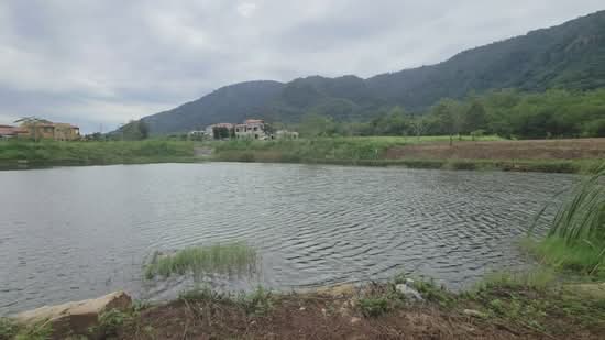 Toscana Valley Khao Yai (ทอสคานา วัลเลย์ เขาใหญ่), Nakhon Ratchasima, Pak Chong, Nakhon Ratchasima, , 1,600 sqm, Land For Sale, by Saksri Sirichokprasert, 500142587 - DDproperty.com