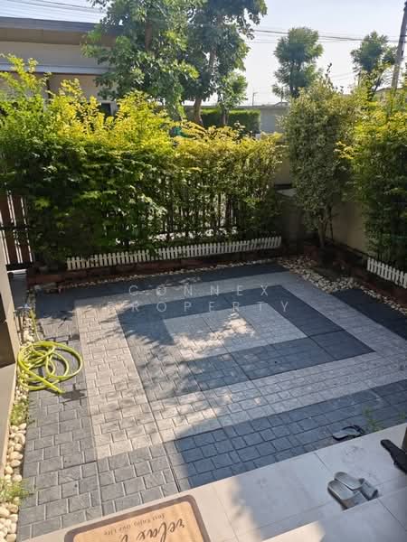 Phumchanok Phutthamonthon Sai 4-5, Samut Sakhon, พุทธมณฑลสาย 4, Om Noi, Krathum Baen, Samut Sakhon, 3 Bedrooms, 142 sqm, Single Detached House For Rent, by Connex Property, 500142593 - DDproperty.com