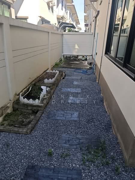 Phumchanok Phutthamonthon Sai 4-5, Samut Sakhon, พุทธมณฑลสาย 4, Om Noi, Krathum Baen, Samut Sakhon, 3 Bedrooms, 142 sqm, Single Detached House For Rent, by Connex Property, 500142593 - DDproperty.com