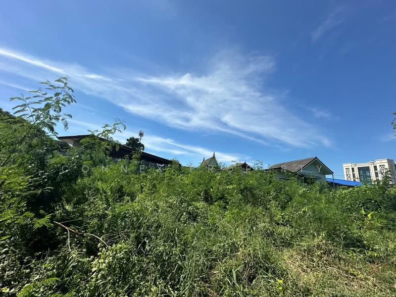 บ้านและที่ดินเปล่า 2 ไร่ บางศรีเมือง นนทบุรี, นนทบุรี, บางศรีเมือง, บางกร่าง, เมืองนนทบุรี, นนทบุรี, 200 ตร.ม., บ้านเดี่ยว ขาย, โดย Connex Property, 500142625 - DDproperty.com