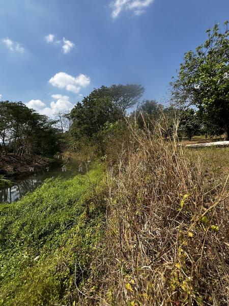 For Sale - Land 7.5 Rai with fruit trees with Muak Lek Canel, Saraburi