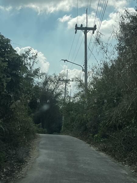 For Sale - Land 7.5 Rai with fruit trees with Muak Lek Canel, Saraburi