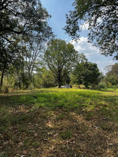 ขาย - ที่ดินสวนผลไม้ 7.5 ไร่ ริมคลองมวกเหล็กใน, สระบุรี