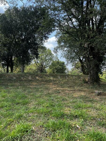 ขาย - ที่ดินสวนผลไม้ 7.5 ไร่ ริมคลองมวกเหล็กใน, สระบุรี