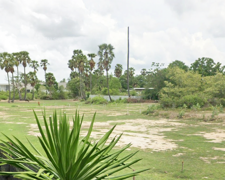 ที่ดินบ้านหม้อ เพชรบุรี, เพชรบุรี, บ้านหม้อ, เมืองเพชรบุรี, เพชรบุรี, 240 ตร.ม., ที่ดิน ขาย, โดย The Best Property ต่าย, 500142845 - DDproperty.com