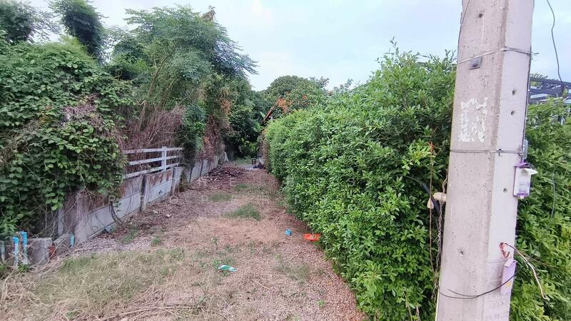 ที่ดินพร้อมสิ่งปลูกสร้างท่ายาง เพชรบุรี, Phetchaburi, Ban Nai Dong, Tha Yang, Phetchaburi, , 400 sqm, Land For Sale, by The Best Property นาถ, 500142857 - DDproperty.com