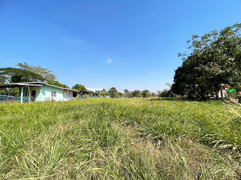 ที่ดินบ้านไผ่ ขอนแก่น, ขอนแก่น, บ้านไผ่, บ้านไผ่, ขอนแก่น, 800 ตร.ม., ที่ดิน ขาย, โดย The Best Property อัคร, 500142953 - DDproperty.com