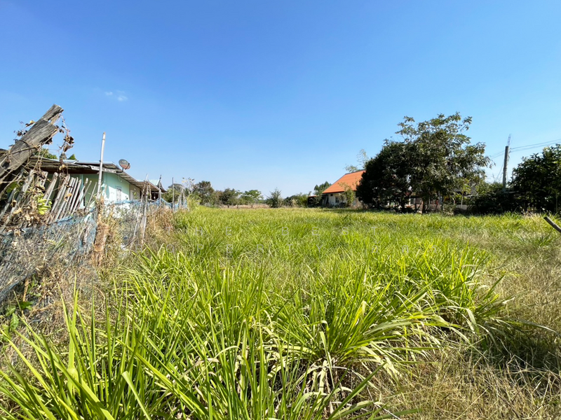 ที่ดินบ้านไผ่ ขอนแก่น, ขอนแก่น, บ้านไผ่, บ้านไผ่, ขอนแก่น, 800 ตร.ม., ที่ดิน ขาย, โดย The Best Property อัคร, 500142953 - DDproperty.com