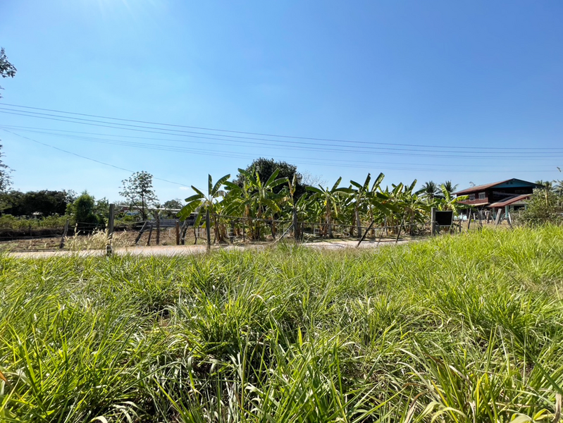 ที่ดินบ้านไผ่ ขอนแก่น, Khon Kaen, Ban Phai, Ban Phai, Khon Kaen, , 800 sqm, Land For Sale, by The Best Property อัคร, 500142953 - DDproperty.com