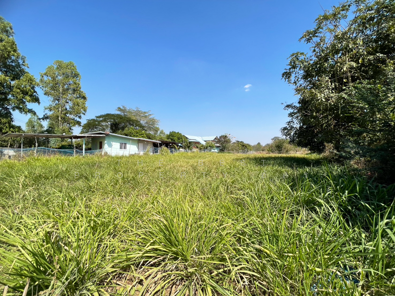 ที่ดินบ้านไผ่ ขอนแก่น, ขอนแก่น, บ้านไผ่, บ้านไผ่, ขอนแก่น, 800 ตร.ม., ที่ดิน ขาย, โดย The Best Property อัคร, 500142953 - DDproperty.com