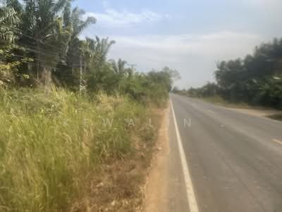 ขาย - สวนปาล์ม อยู่ประจวบคีรีขันธ์ 21 ไร่, ประจวบคีรีขันธ์