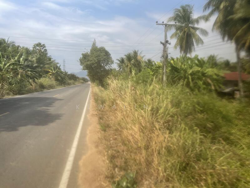 ขาย - สวนปาล์ม อยู่ประจวบคีรีขันธ์ 21 ไร่, ประจวบคีรีขันธ์