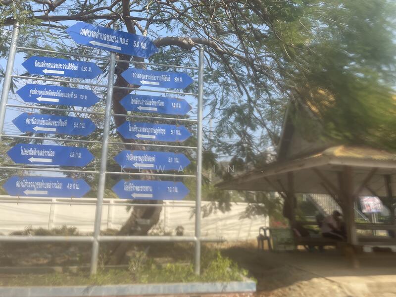 Palm Plantation for Sale in Prachuap Khiri Khan – Mountain View, Prachuap Khiri Khan, Ao Noi, Muang Prachaubkirikhan, Prachuap Khiri Khan, , 33,916 sqm, Land For Sale, by kewalin ., 500142994 - DDproperty.com