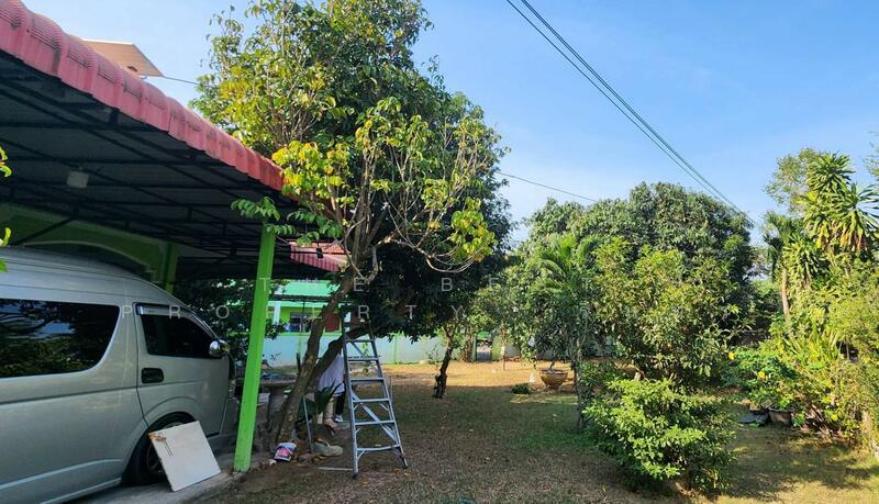 อพาร์ทเม้นท์บางละมุง ชลบุรี, Chon Buri (Pattaya), Nong Pru, Bang Lamung (Pattaya), Chon Buri (Pattaya), , 100 sqm, Business For Sale, by The Best Property  รินทร์, 500143035 - DDproperty.com