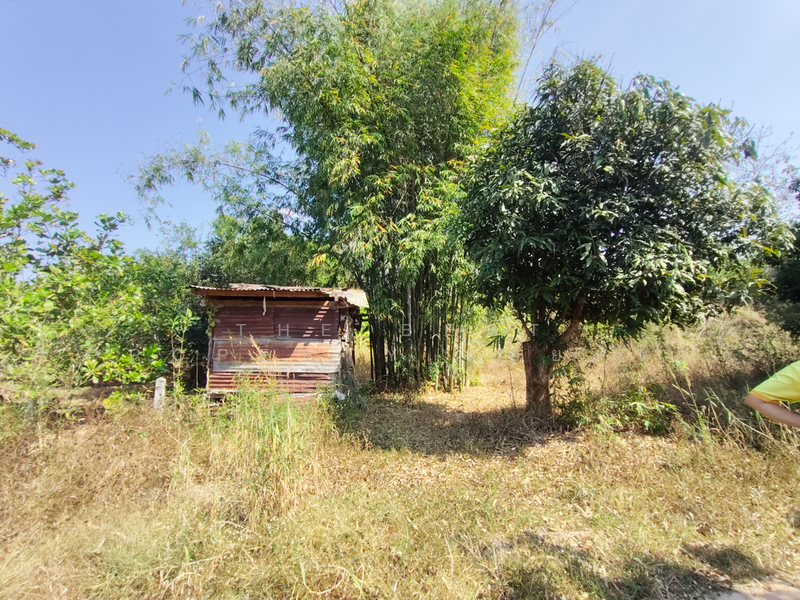 ที่ดินท่าปลา อุตรดิตถ์, อุตรดิตถ์, หาดล้า, ท่าปลา, อุตรดิตถ์, 6,400 ตร.ม., ที่ดิน ขาย, โดย The Best Property น้อยหน่า, 500143042 - DDproperty.com