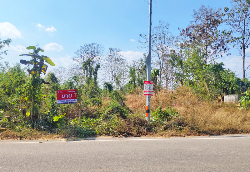 ที่ดินท่าปลา อุตรดิตถ์, อุตรดิตถ์, หาดล้า, ท่าปลา, อุตรดิตถ์, 6,400 ตร.ม., ที่ดิน ขาย, โดย The Best Property น้อยหน่า, 500143042 - DDproperty.com