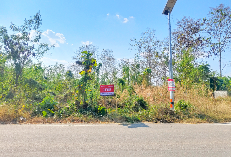 ที่ดินท่าปลา อุตรดิตถ์, อุตรดิตถ์, หาดล้า, ท่าปลา, อุตรดิตถ์, 6,400 ตร.ม., ที่ดิน ขาย, โดย The Best Property น้อยหน่า, 500143042 - DDproperty.com