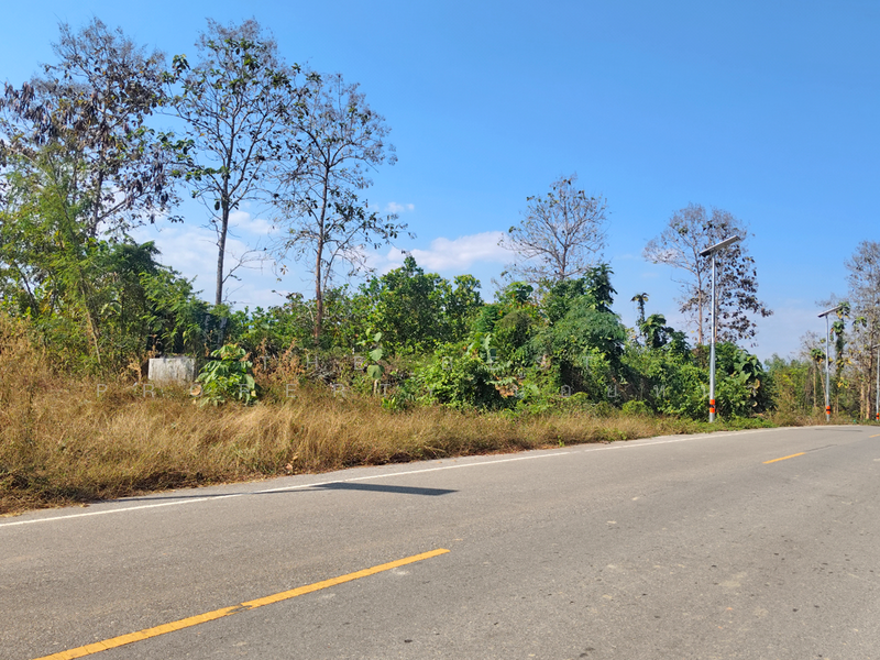 ที่ดินท่าปลา อุตรดิตถ์, อุตรดิตถ์, หาดล้า, ท่าปลา, อุตรดิตถ์, 6,400 ตร.ม., ที่ดิน ขาย, โดย The Best Property น้อยหน่า, 500143042 - DDproperty.com