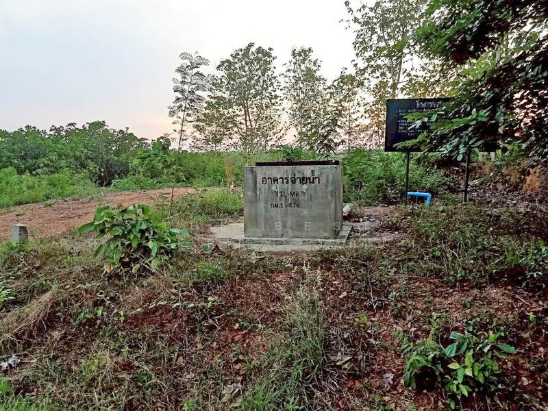 ที่ดินท่าปลา อุตรดิตถ์, อุตรดิตถ์, หาดล้า, ท่าปลา, อุตรดิตถ์, 6,400 ตร.ม., ที่ดิน ขาย, โดย The Best Property น้อยหน่า, 500143042 - DDproperty.com