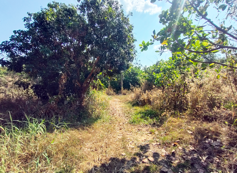 ที่ดินท่าปลา อุตรดิตถ์, Uttaradit, Hat La, Tha Pla, Uttaradit, , 6,400 sqm, Land For Sale, by The Best Property น้อยหน่า, 500143042 - DDproperty.com