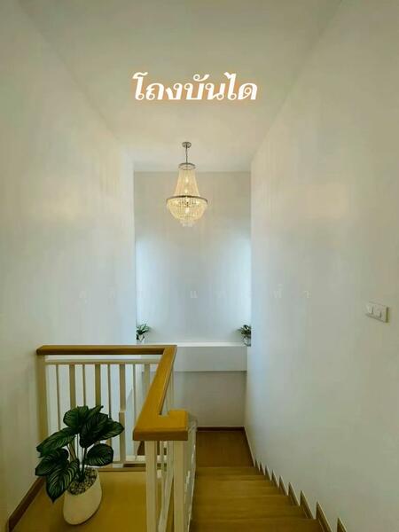 ขายบ้านใหม่มือหนึ่งบิ้วอินทั้งหลัง 4 นอน โครงการอริยะ ใจกลางศรีราชา, Chon Buri (Pattaya), Surasak, Si Racha, Chon Buri (Pattaya), 4 Bedrooms, 150 sqm, Semi-Detached House (Twin House) For Sale, by Dusit Saengfa, 500143081 - DDproperty.com