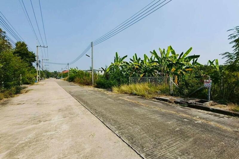 ขาย - ปัญญสิริย์ ลาดหลุมแก้ว : Panyasiri Ladlumkaew, ปทุมธานี