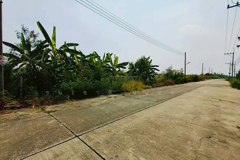 ขาย - ปัญญสิริย์ ลาดหลุมแก้ว : Panyasiri Ladlumkaew, ปทุมธานี