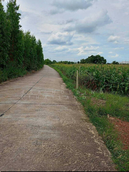 ในนิคมโรจนะ ปราจีนบุรี, ปราจีนบุรี, หัวหว้า, ศรีมหาโพธิ, ปราจีนบุรี, 37,104 ตร.ม., ที่ดิน ขาย, โดย ERA Holding (Thailand) Co., Ltd., 500143256 - DDproperty.com