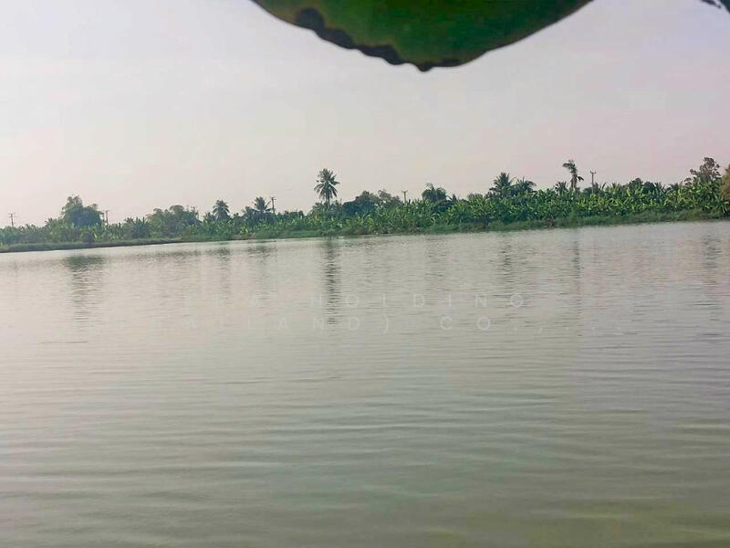 ในทำเลตำบลศีรษะจรเข้น้อย, สมุทรปราการ, ศีรษะจรเข้น้อย, บางเสาธง, สมุทรปราการ, 4,872 ตร.ม., ที่ดิน ขาย, โดย ERA Holding (Thailand) Co., Ltd., 500143259 - DDproperty.com