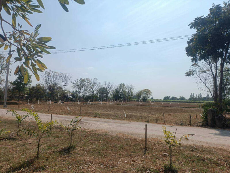 ในอำเภอปากท่อ, Ratchaburi, Thung Luang, Pak Tho, Ratchaburi, , 11,136 sqm, Land For Sale, by ERA Holding (Thailand) Co., Ltd., 500143269 - DDproperty.com