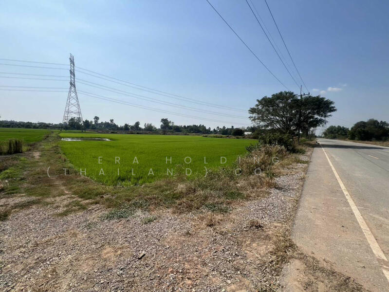 ขาย - หน้ากว้าง: 113 เมตร, พิษณุโลก