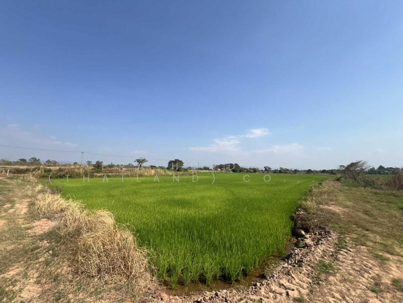 ขาย - หน้ากว้าง: 113 เมตร, พิษณุโลก