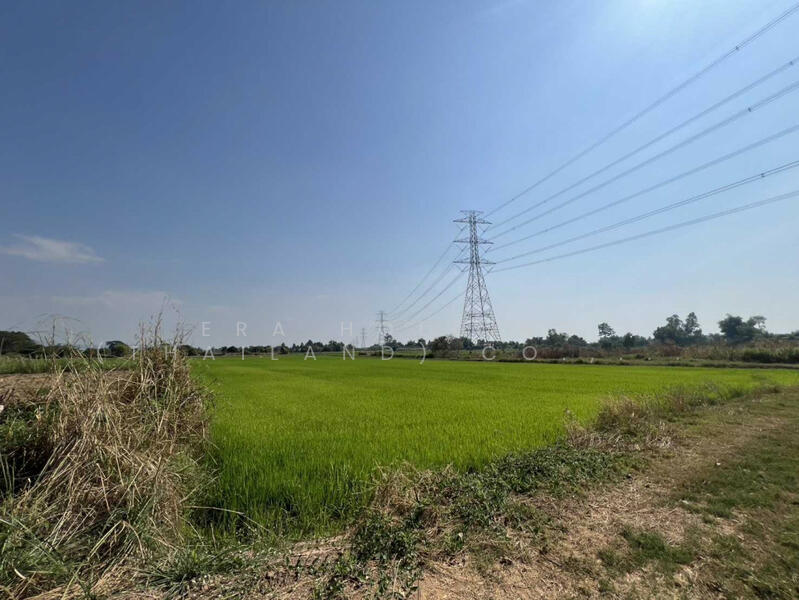 For Sale - หน้ากว้าง: 113 เมตร, Phitsanulok