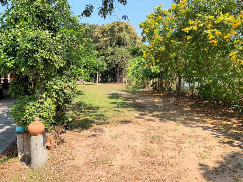 พร้อมที่ดินขนาดใหญ่, Nakhon Ratchasima, Cho Ho, Muang Nakhon Ratchasima, Nakhon Ratchasima, 5 Bedrooms, 300 sqm, Single Detached House For Sale, by ERA Holding (Thailand) Co., Ltd., 500143282 - DDproperty.com