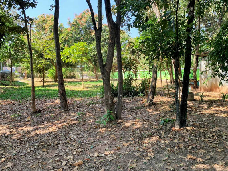 พร้อมที่ดินขนาดใหญ่, Nakhon Ratchasima, Cho Ho, Muang Nakhon Ratchasima, Nakhon Ratchasima, 5 Bedrooms, 300 sqm, Single Detached House For Sale, by ERA Holding (Thailand) Co., Ltd., 500143282 - DDproperty.com