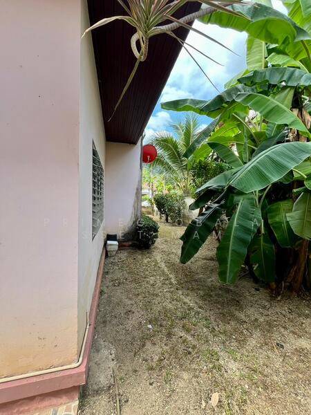 Passorn Kathu-Patong, Phuket, Pruksa Ville Village 146/35, Kammala, Kathu, Phuket, 3 Bedrooms, 181 sqm, Single Detached House For Rent, by primeglobalasset Mam, 500143448 - DDproperty.com