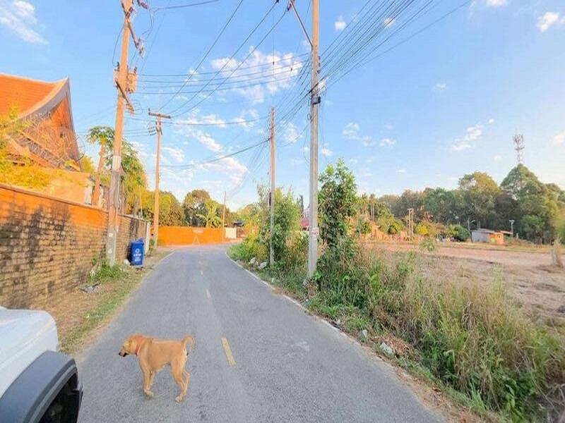 ที่ดินเปล่า สัตหีบ บางเสร่ ชลบุรี, ชลบุรี, บางเสร่, สัตหีบ, ชลบุรี, 1,640 ตร.ม., ที่ดิน ขาย, โดย A.T.A. Property, 500143577 - DDproperty.com