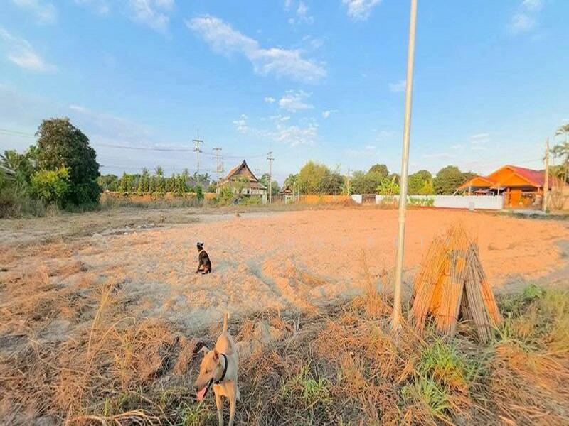 ที่ดินเปล่า สัตหีบ บางเสร่ ชลบุรี, Chon Buri (Pattaya), Bang Sa-re, Sattahip, Chon Buri (Pattaya), , 1,640 sqm, Land For Sale, by A.T.A. Property, 500143577 - DDproperty.com