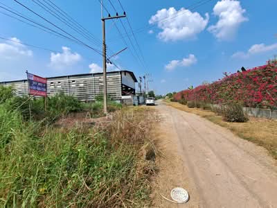 ขาย - ขายด่วน ที่ดิน 201 ตร.ว. ธัญญะ ปทุมธานี ทำเลดี ใกล้สวนสัตว์แห่งใหม่, วิหารหลวงพ่อโสธร, สนามกอล์ฟ RG, ปทุมธานี