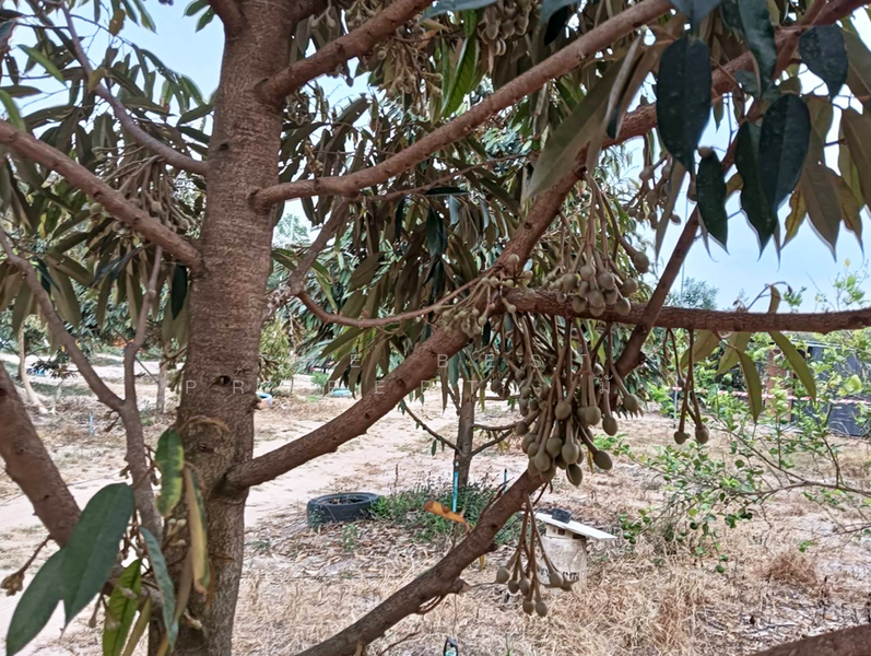 ที่ดินพร้อมสิ่งปลูกสร้างวังจันทร์ ระยอง, Rayong, Pa Yup Nai, Wang Chan, Rayong, , 10,788 sqm, Land For Sale, by The Best Property มัต, 500143592 - DDproperty.com