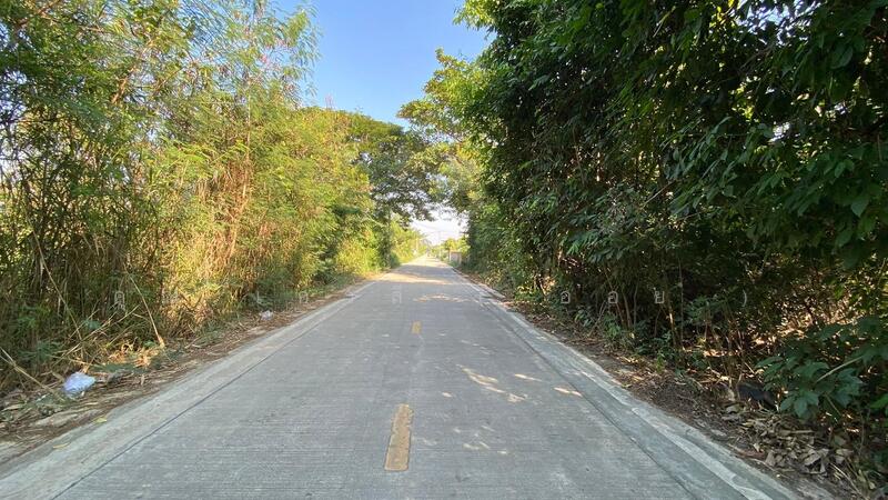 ที่ดินเปล่า 200 ตร.ว ซอยเอราวัณ 4 คลองสอง, ปทุมธานี, เอราวัณ 1, คลองสอง, คลองหลวง, ปทุมธานี, 800 ตร.ม., ที่ดิน ขาย, โดย คุณ เกวลี ( ออย ), 500143764 - DDproperty.com