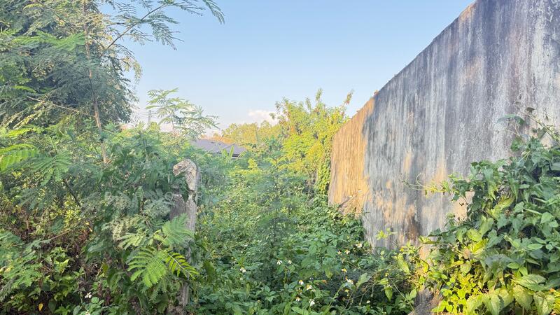 ที่ดินสันทราย เชียงใหม่, เชียงใหม่, ป่าไผ่, สันทราย, เชียงใหม่, 1,600 ตร.ม., ที่ดิน ขาย, โดย The Best Property บอย, 500143791 - DDproperty.com